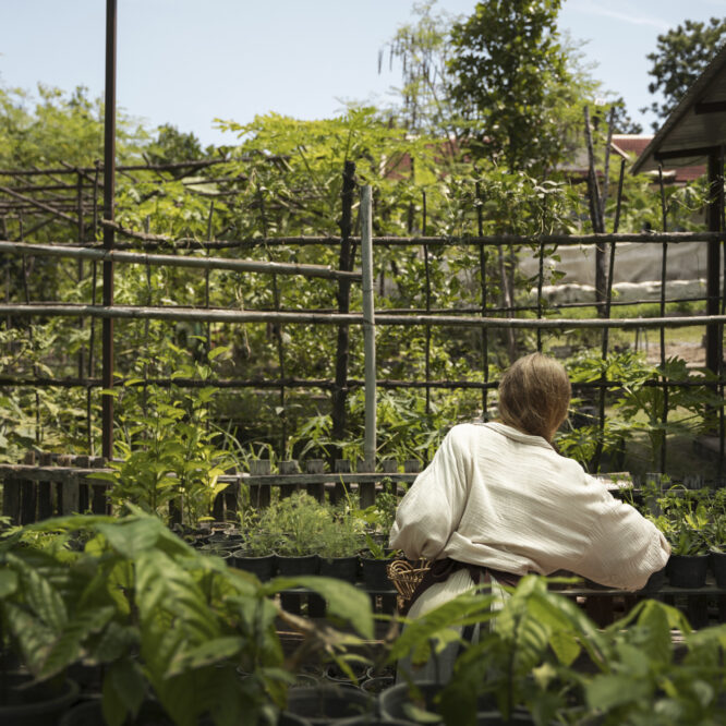 De impact van SEV plantenbakken op duurzame stadsontwikkeling