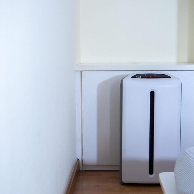Waarom Kiezen voor een Luchtreiniger in Huis?